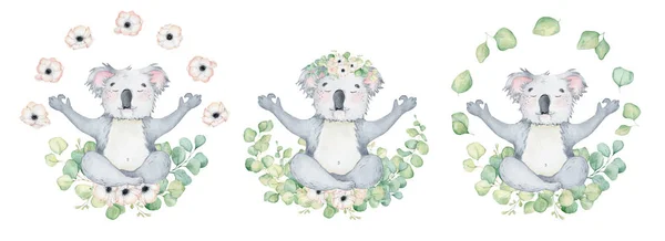 Коала медведь милый персонаж животных акварель иллюстрация — стоковое фото