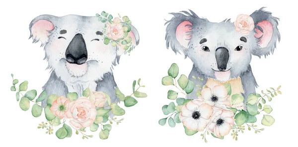 Koala orso simpatico animale personaggio acquerello illustrazione — Foto Stock