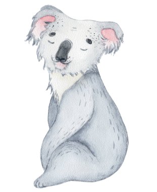 Koala ayı sevimli hayvan karakteri suluboya illüstrasyon