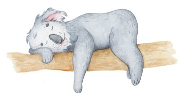 Koala ayı sevimli hayvan karakteri suluboya illüstrasyon
