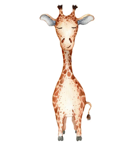 Aranyos zsiráf rajzfilm akvarell illusztráció állat — Stock Fotó