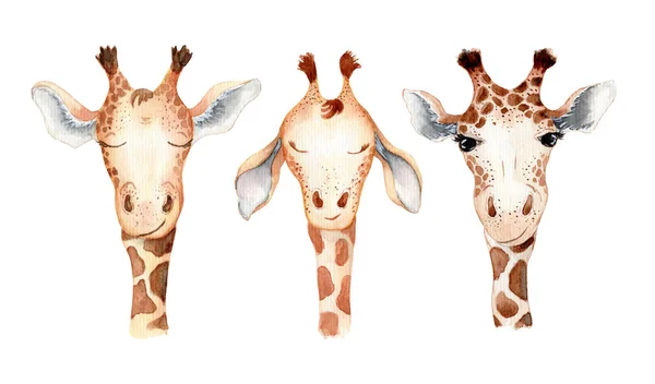 Mignon girafe dessin animé aquarelle illustration animal ensemble — Photo