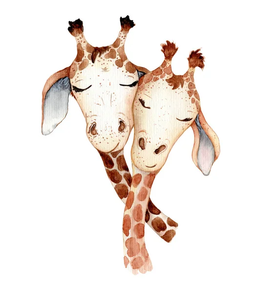 Girafas bonito casal desenho animado aquarela ilustração animal — Fotografia de Stock