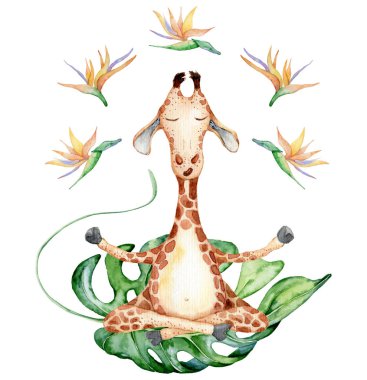 Yoga pozisyonunda tropikal çiçekler ile sevimli suluboya geraffe