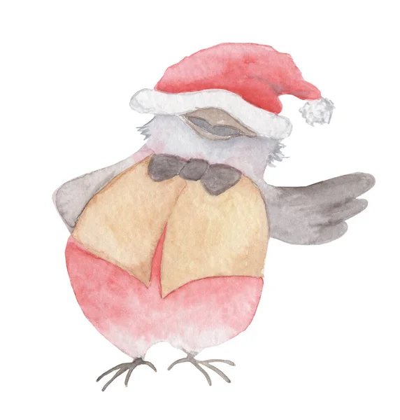 Watercolor Christmas bird in a Santa Claus hat hand drawn illustration isolated — Stock Photo, Image