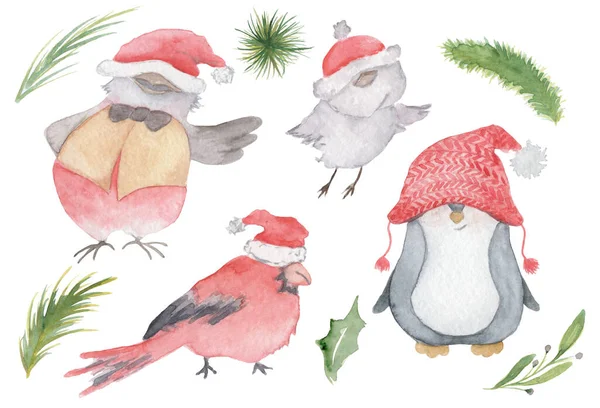 Aquarel Kerst vogels gezet met kardinaal, mus, pinguïn in Santa hoeden met de hand getekend illustratie — Stockfoto