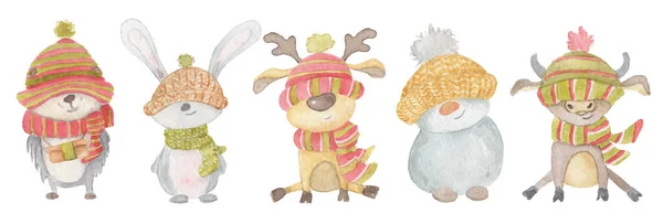 Aquarela animais de Natal ouriço, lebre, veado, boneco de neve, touro. Inverno ilustração desenhada à mão Isolado — Fotografia de Stock