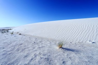 Ulusal Anıtı New Mexico, ABD beyaz kumları
