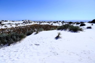 Ulusal Anıtı New Mexico, ABD beyaz kumları