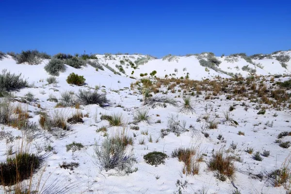 Weißer Sand Nationaldenkmal New Mexico Vereinigte Staaten — Stockfoto