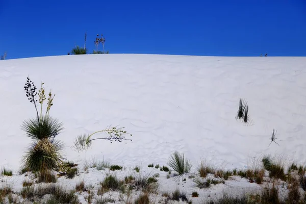 Monumento Nacional White Sands Novo México Eua — Fotografia de Stock