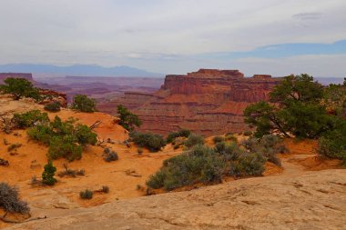  Ada gökyüzü bölgesinde, Canyonlands Milli Parkı Utah 
