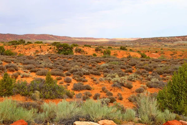 Bellissimo Paesaggio Dai Colori Naturali All Arches National Park Nello — Foto Stock