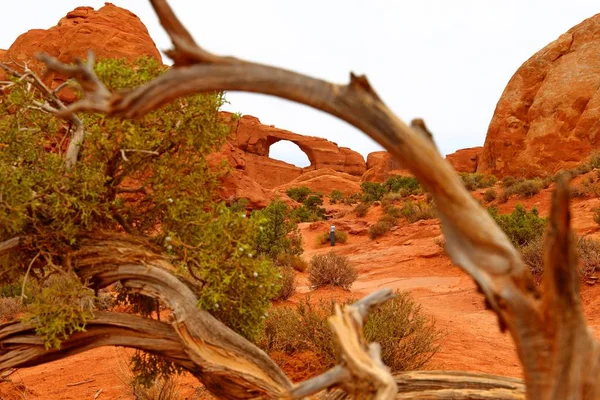 Krásná Krajina Přírodních Barvách Národním Parku Arches Utahu Usa — Stock fotografie