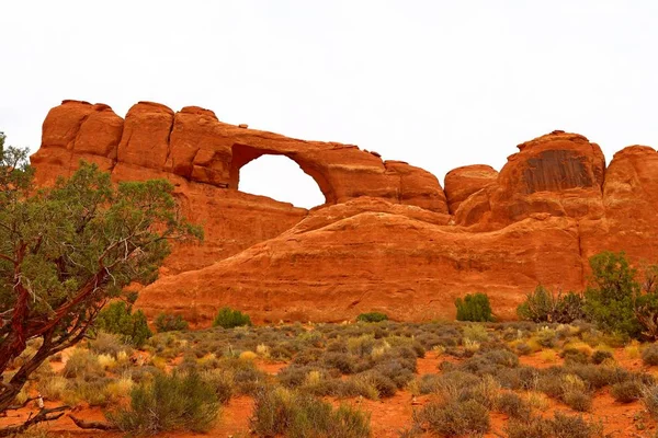Güzel Manzara Doğal Renklerde Arches National Park Utah Abd — Stok fotoğraf