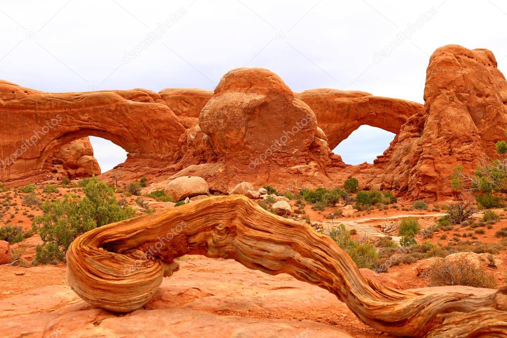 Famous Windows arch in the Arches National park, Utah, USA