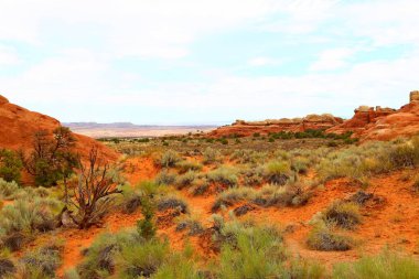 Güzel manzara doğal renklerde, Arches National Park Utah, ABD