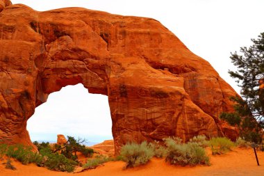 Güzel manzara doğal renklerde, Arches National Park Utah, ABD