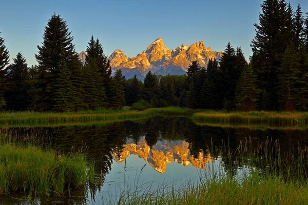 Reflejo Del Amanecer Del Grand Teton Schwabacher Landing Parque Nacional —  Fotos de Stock