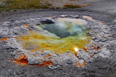 Sıcak termal bahar, üst şofben Havzası, Yellowstone Milli Parkı, Wyoming, ABD