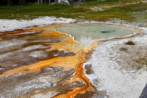 Hot thermal spring, the Upper Geyser Basin, Yellowstone National Park, Wyoming, USA