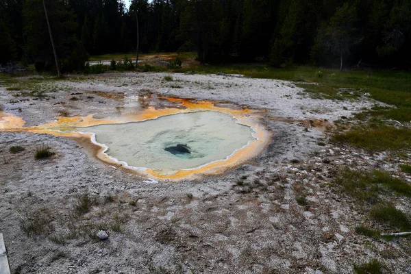 Forró Termálforrásból Felső Gejzír Medencében Yellowstone Nemzeti Parkban Wyoming Amerikai — Stock Fotó