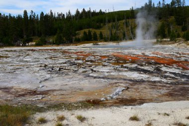 Gayzer, üst şofben Havzası, Yellowstone Milli Parkı, Wyoming, ABD