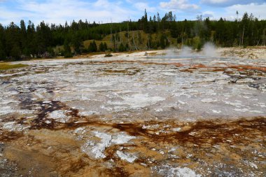 Sıcak termal bahar, üst şofben Havzası, Yellowstone Milli Parkı, Wyoming, ABD