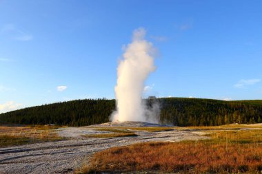Yellowstone Milli Parkı, Wyoming, ABD eski sadık