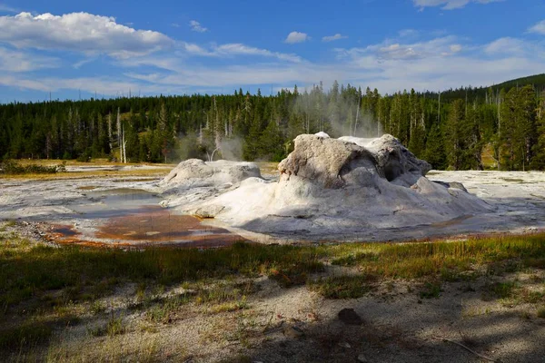 Grotto Geyser Upper Geyser Basin Yellowstone National Park Wyoming Usa — Foto Stock