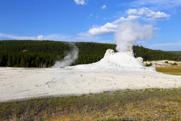 Castle Geyser Upper Geyser Basin Yellowstone National Park Wyoming Eua — Fotografia de Stock