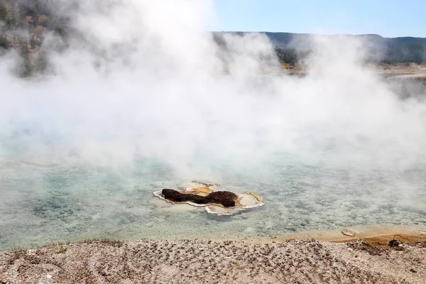 Bazinul Midway Geyser Din Yellowstone National Park Wyoming Statele Unite — Fotografie, imagine de stoc