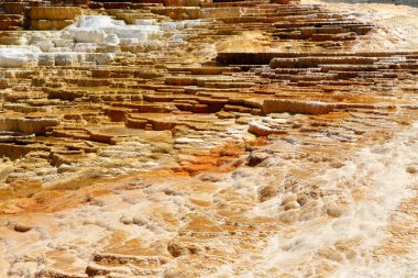 Alt Teras alanı, Mamut Kaplıcalar, Yellowstone Milli Parkı Wyoming, ABD