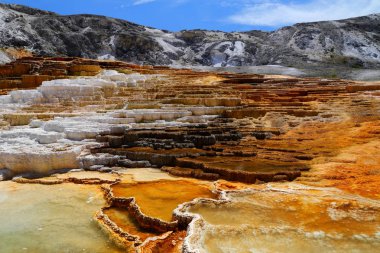 Alt Teras alanı, Mamut Kaplıcalar, Yellowstone Milli Parkı Wyoming, ABD