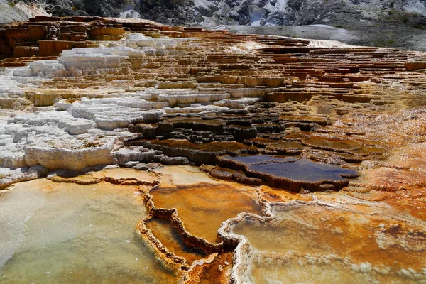 Alt Teras alanı, Mamut Kaplıcalar, Yellowstone Milli Parkı Wyoming, ABD
