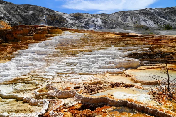 Alt Teras alanı, Mamut Kaplıcalar, Yellowstone Milli Parkı Wyoming, ABD