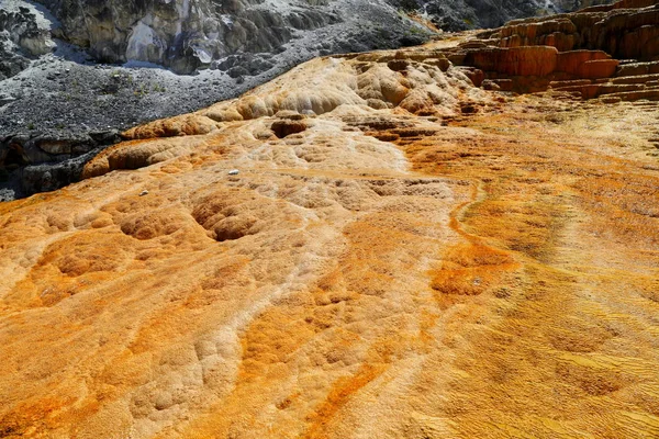 Alt Teras alanı, Mamut Kaplıcalar, Yellowstone Milli Parkı Wyoming, ABD