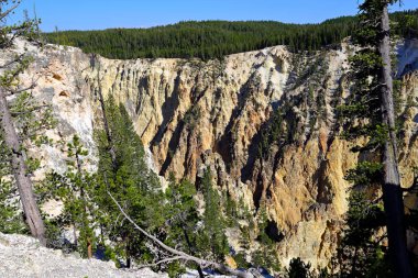 Uyanık düşme noktası, Grand Canyon, Yellowstone Milli Parkı, Wyoming, Amerika daha düşük