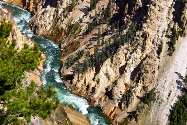 Brink Lower Falls Grand Canyon Yellowstone National Park Wyoming Estados — Foto de Stock