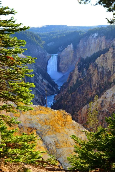 Lower Falls Artist Point Grand Canyon Yellowstone National Park Wyoming — Foto de Stock