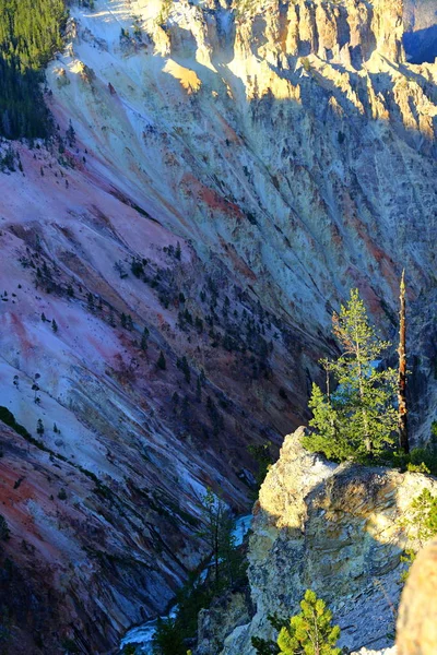 Lower Falls Artist Point Grand Canyon Yellowstone National Park Wyoming — Foto de Stock