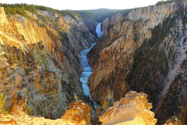 Lower Falls Artist Point Grand Canyon Yellowstone National Park Wyoming — Foto de Stock