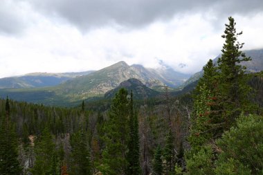 İz Ridge Road, Rocky Dağı Milli Parkı, Colorado, ABD den manzaralar.