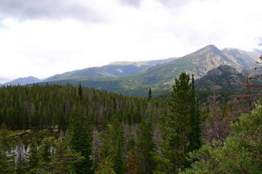 İz Ridge Road, Rocky Dağı Milli Parkı, Colorado, ABD den manzaralar.