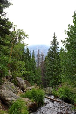 Tyndall creek in the Rocky Mountain National Park, Colorado, USA. clipart