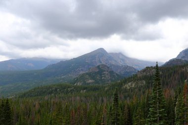 İz Ridge Road, Rocky Dağı Milli Parkı, Colorado, ABD den manzaralar.