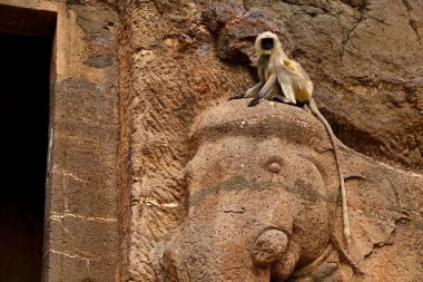 Ajanta mağaraları, Hindistan. Maharashtra eyalet Ajanta mağaralarda Budist anıtlar mağaralar vardır