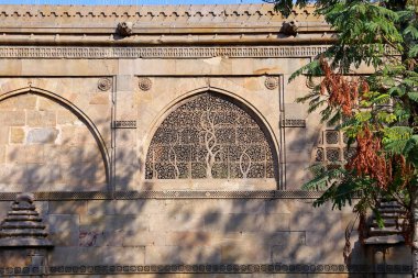 Hindistan'ın Gujarat eyaletinde Ahmedabad'daki Sidi Saiyyed Camii
