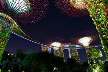 Supertrees, ağaçlar Singapur Körfezi tarafından Gardens farklı ışıklar ile aydınlatılır