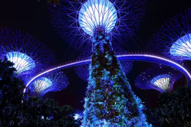 Supertrees, ağaçlar Singapur Körfezi tarafından Gardens farklı ışıklar ile aydınlatılır